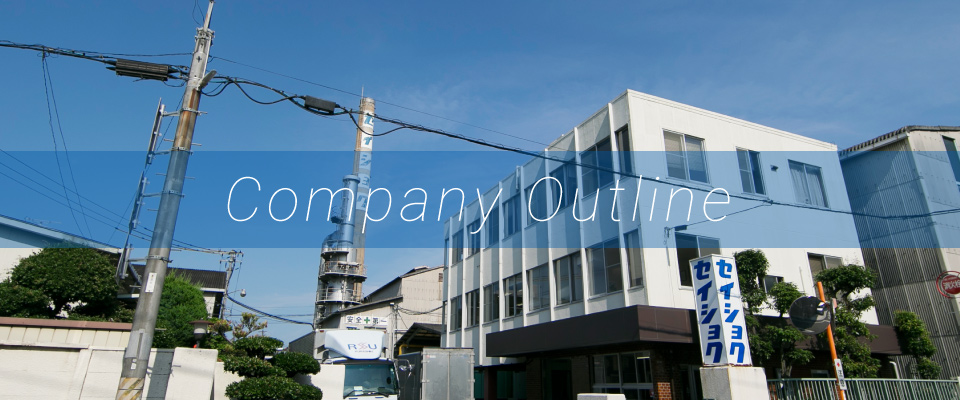 Company Outline