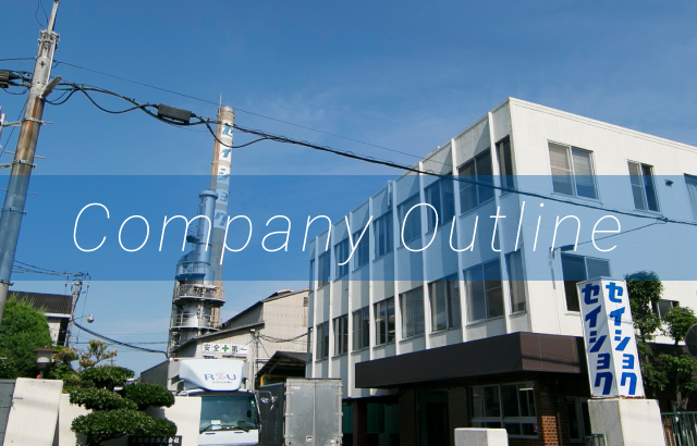 Company Outline